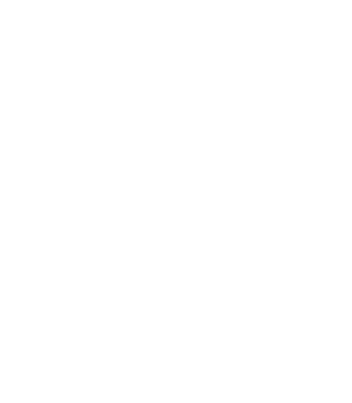 Stylized luchador mask illustration